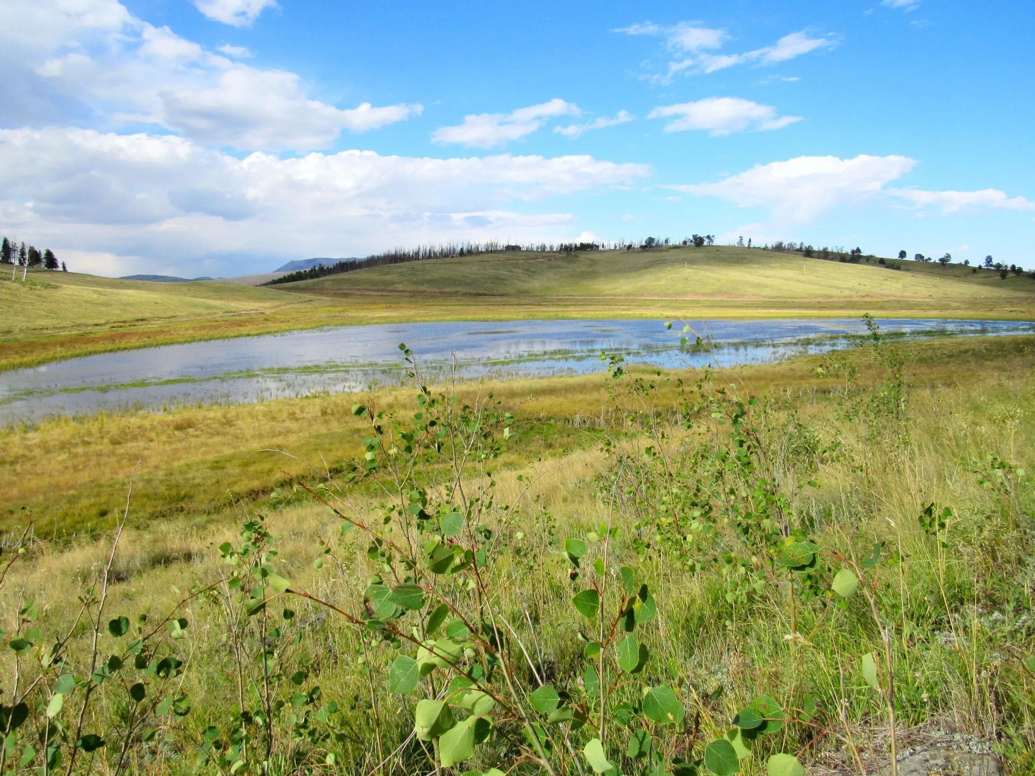 Property images of 2348 Benton Place, Fort Garland, CO 81133 - Image 1