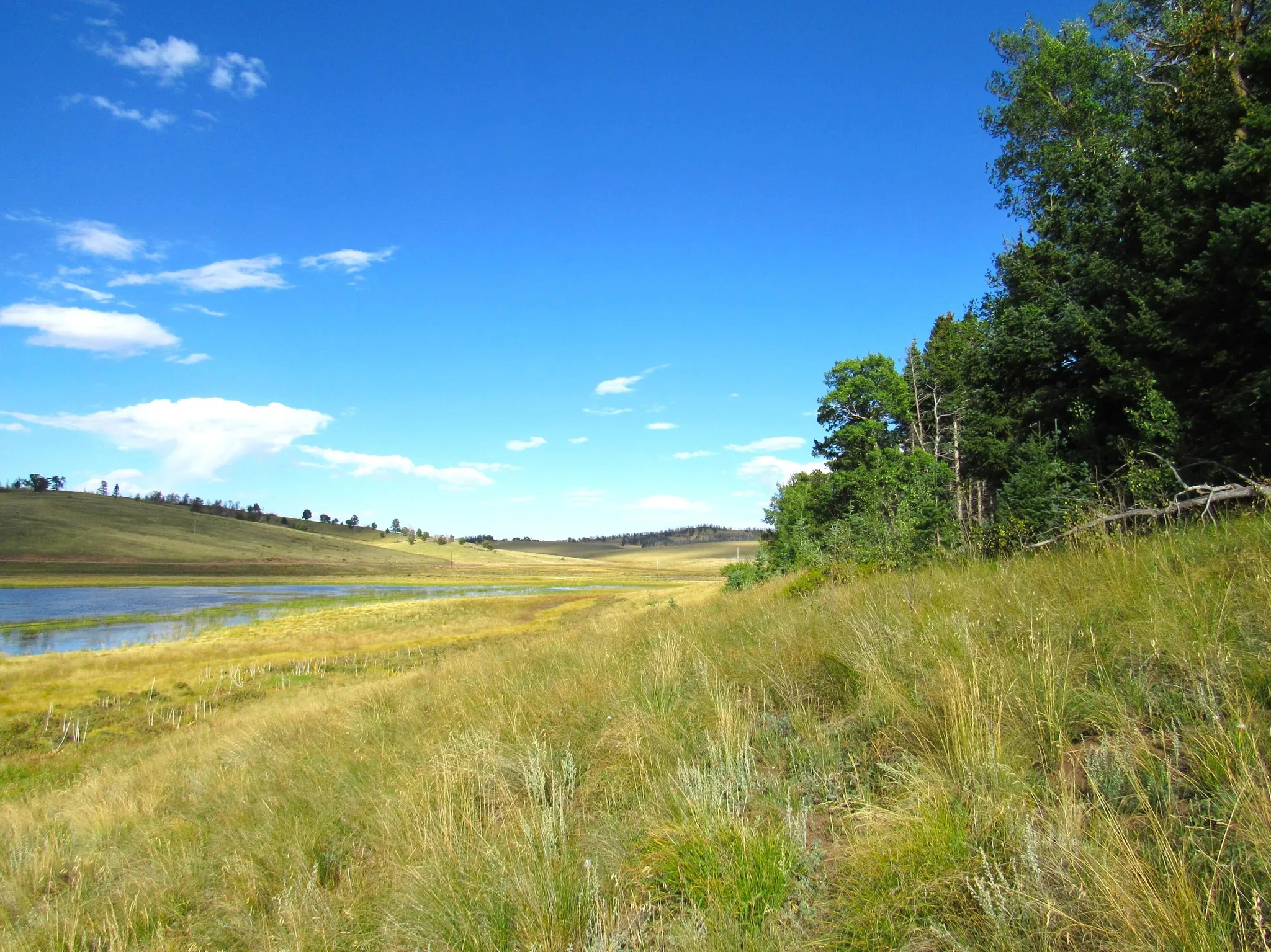 Property image 3 of 2348 Benton Place, Fort Garland, CO 81133