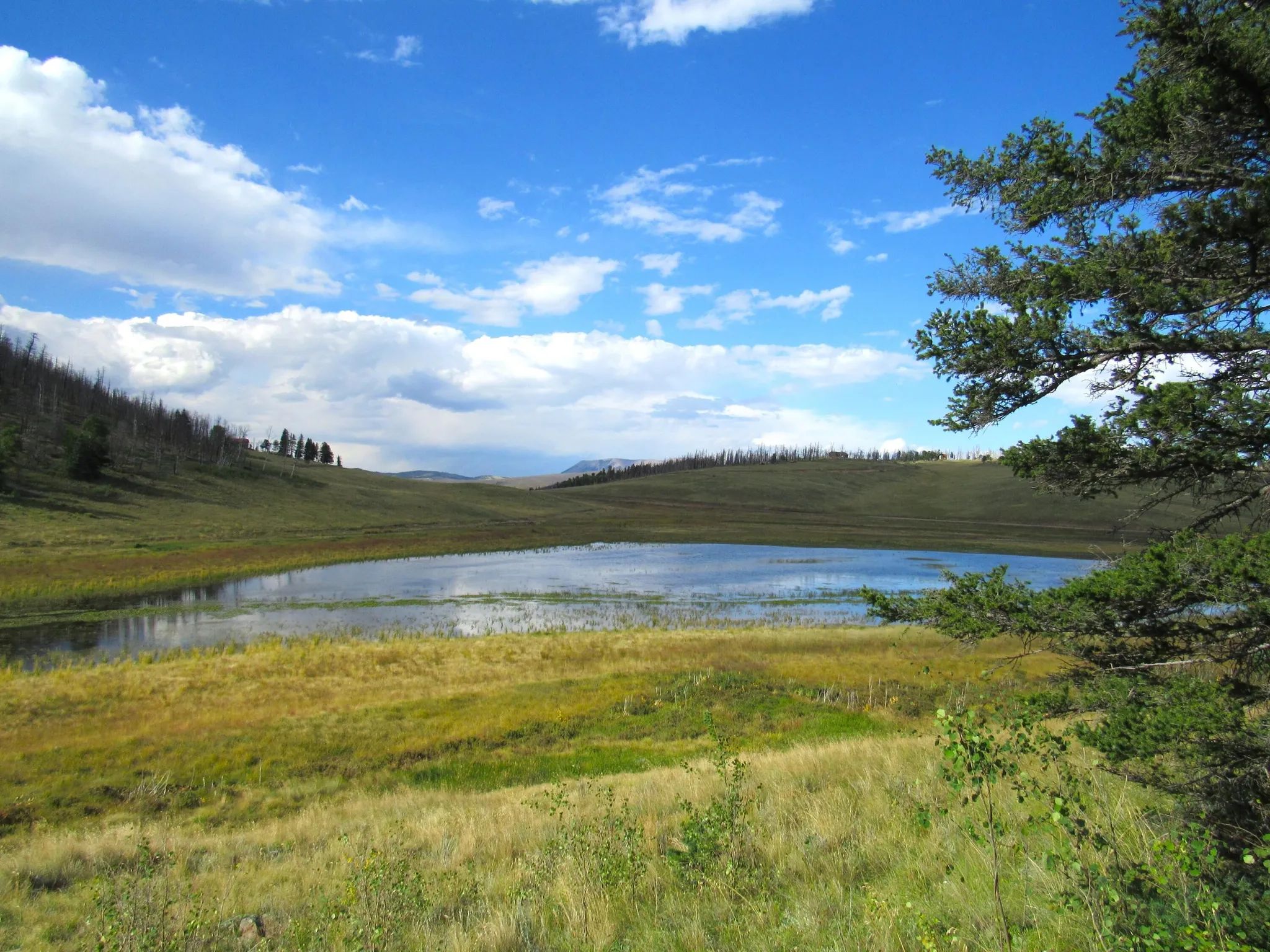 Property images of 2348 Benton Place, Fort Garland, CO 81133 - Image 4