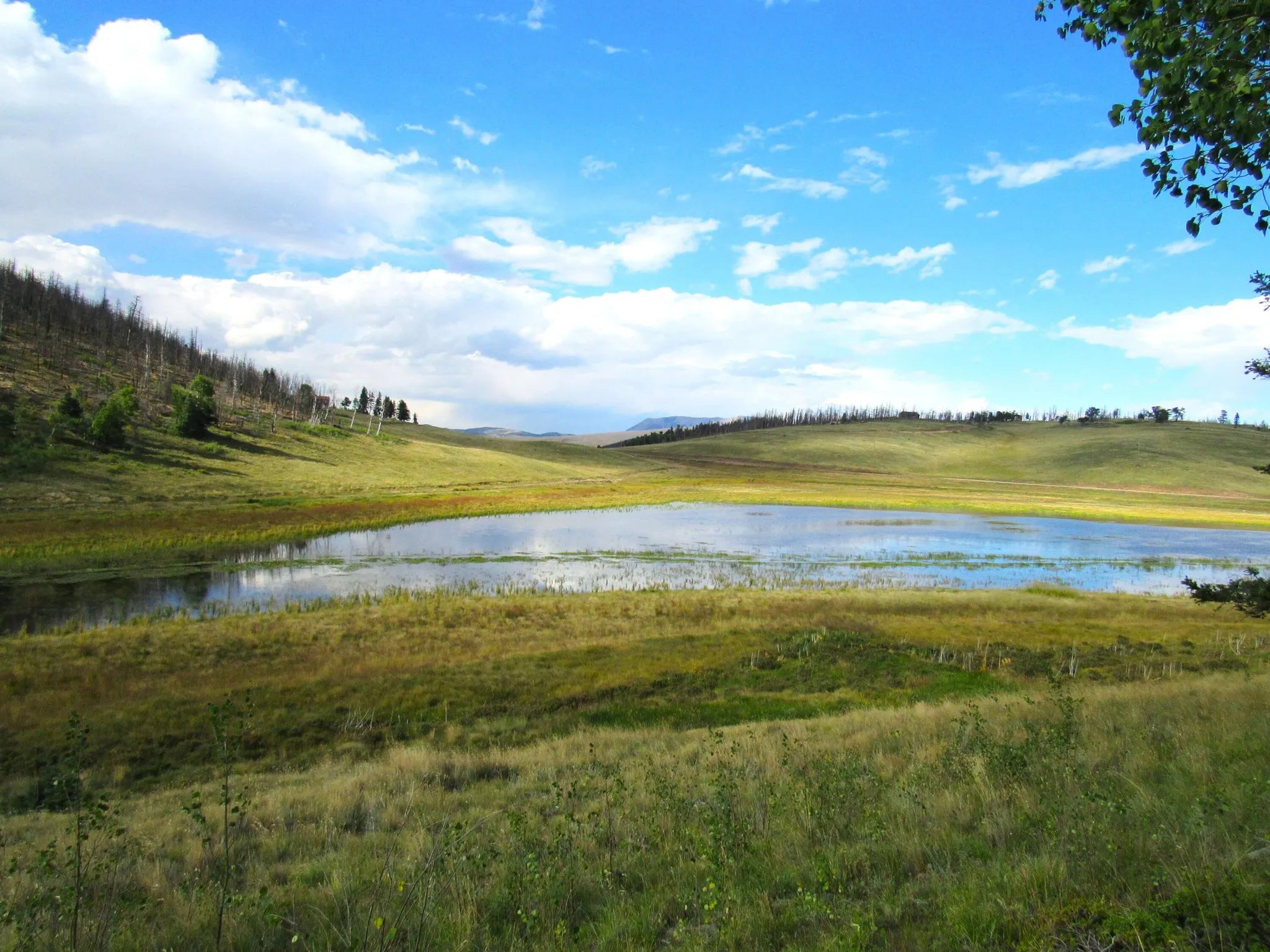 Property images of 2348 Benton Place, Fort Garland, CO 81133 - Image 5