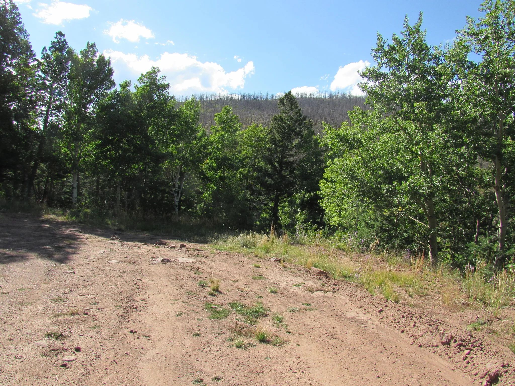 Property images of 2348 Benton Place, Fort Garland, CO 81133 - Image 6