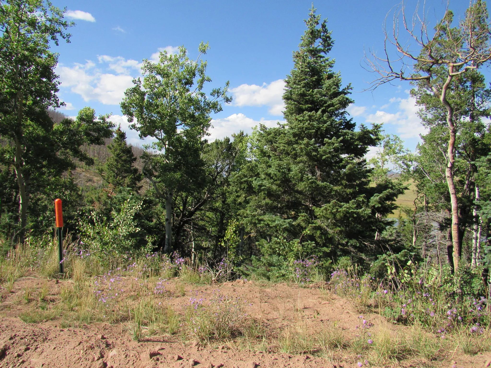 Property images of 2348 Benton Place, Fort Garland, CO 81133 - Image 7