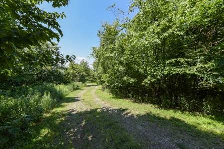 Property image 1 of Windswept Lane, Grantsville, MD 21536