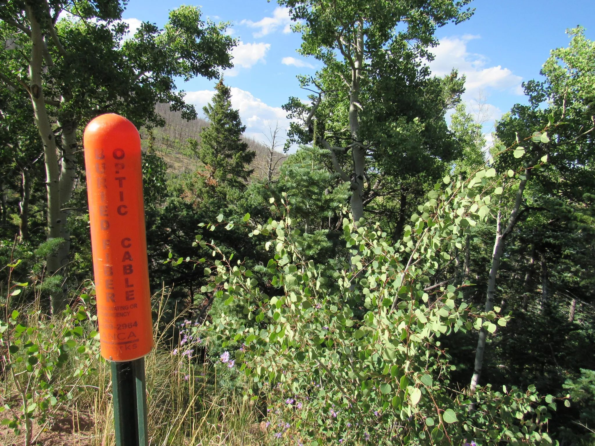 Property images of 2348 Benton Place, Fort Garland, CO 81133 - Image 8