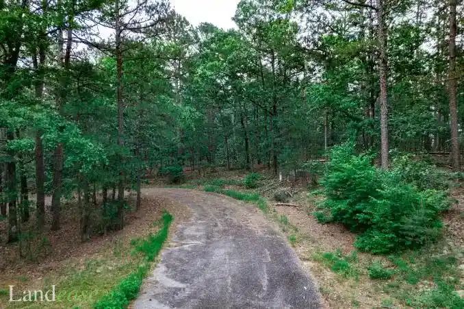 Property images of Fineza Ln, Hot Springs Village, AR 71909 - Image 2