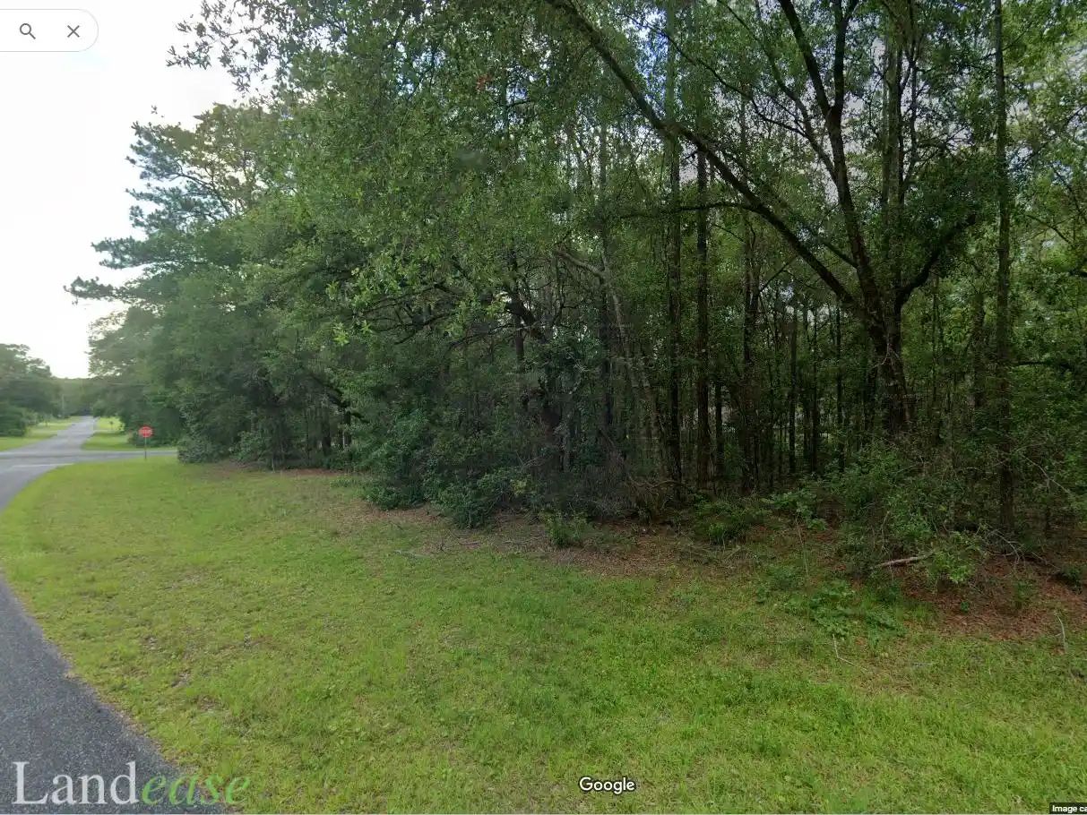 Property images of 1415 W Partridge St, Citrus Springs, FL 34434 - Image 3