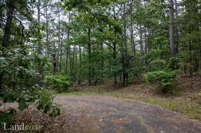 Property images of Fineza Ln, Hot Springs Village, AR 71909 - Image 3