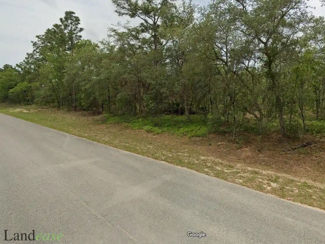 Property images of 6792 N Varsity Ave, Citrus Springs, FL 34434 - Image 3