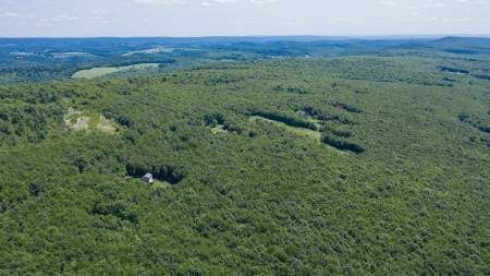 Property images of Windswept Lane, Grantsville, MD 21536 - Image 4