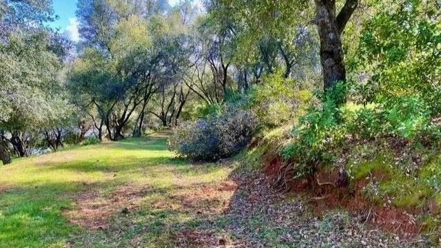 Property images of 19071 Jones Hill Ct, Groveland, CA 95321 - Image 4