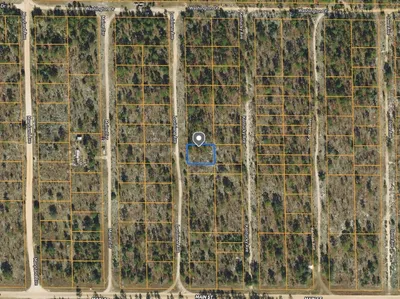 Residential Lot in Hawthorne, FL