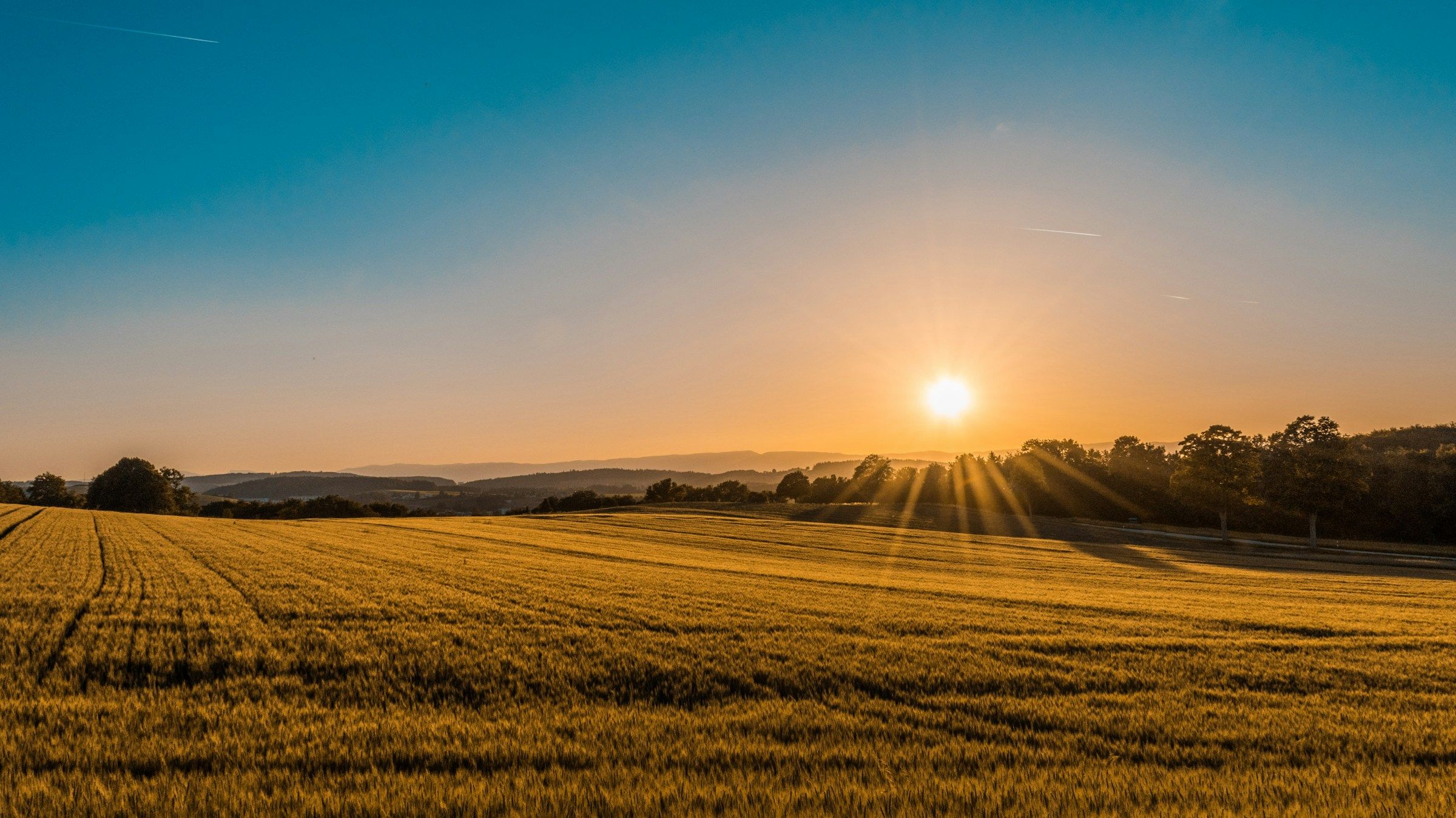 Sunset over field